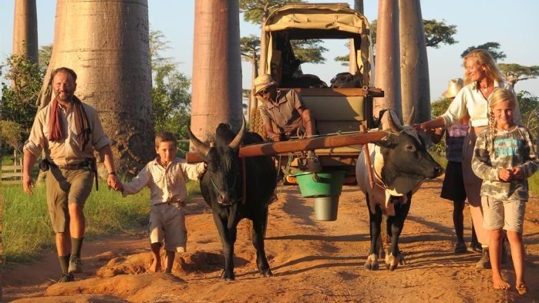 Mada Trek: voyage épique en Charrette à Madagascar