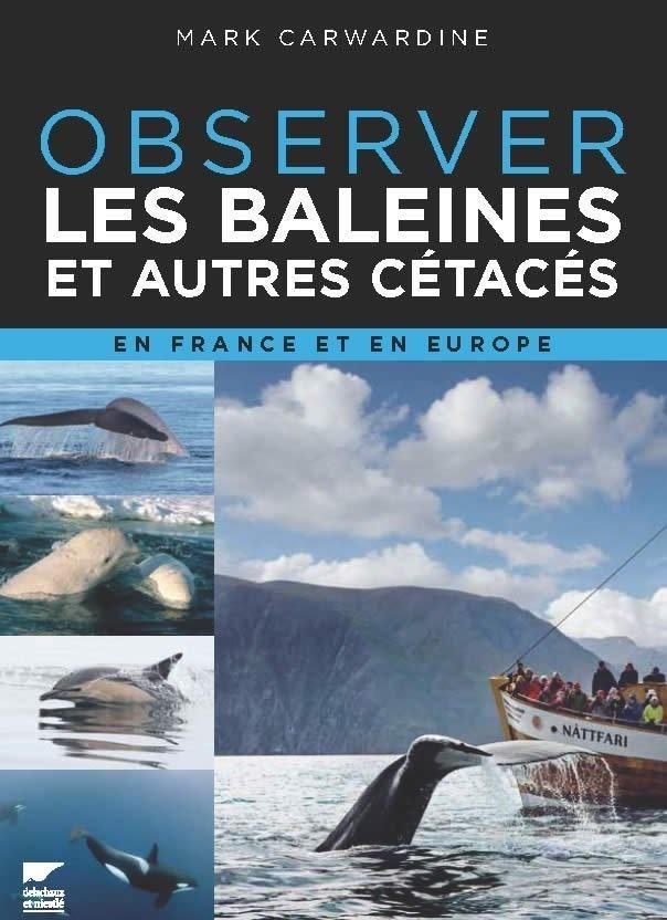 Observer les baleines en Europe