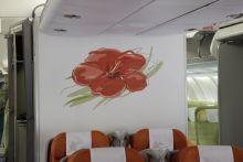 air-mauritius-decoration-cabine-affaires