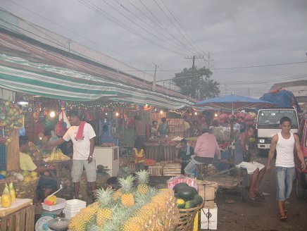 cebu10-marchealcarbon