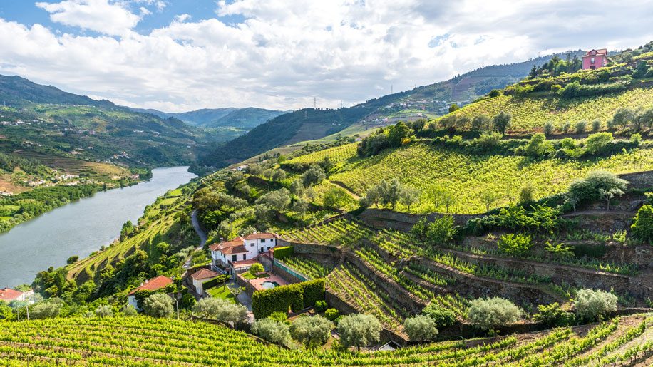 La vallée du DOuro au Portugal